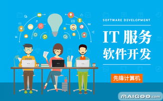 先鋒IT軟件與外包服務全面解析——十大品牌網(wǎng)推薦